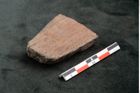 Foto (Seitenansicht) von Plantae indet.  (NHMW-GEO-2024-0188-10476)